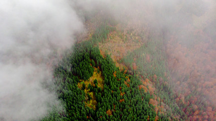 View from a drone to autumn forest through the fog in the Carpathian mountains.