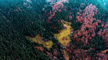 Obraz premium View from a drone to a glade and autumn forest in the Carpathian mountains.