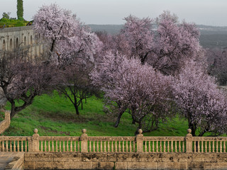 Colors of spring during autumn 