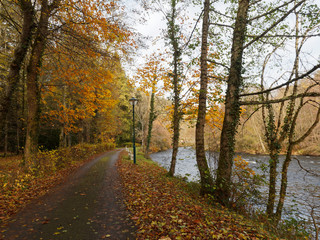 Paysage pittoresque aux couleurs d'automne du parc floral des thermes Châteauneuf-les-Bains au bord de la Sioule dans le Puy-de-Dôme