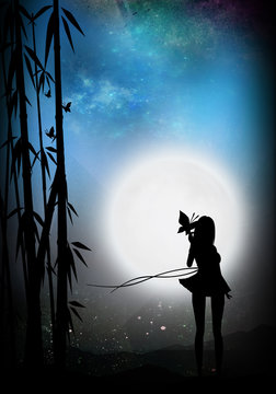 Girl in the moonlight cartoon character in the real world silhouette art photo manipulation
