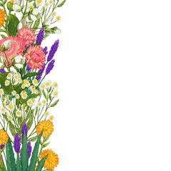 Hand drawn medicinal plant frame. Healing herbs border. isolated on white background