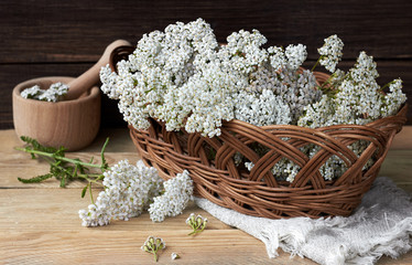 Yarrow wild field herb in the wicker with fresh milfoil flowers and mortar nearby on linen textile on rustic table on wooden background, closeup, copy space, alternative medicinal  concept © spiegelka