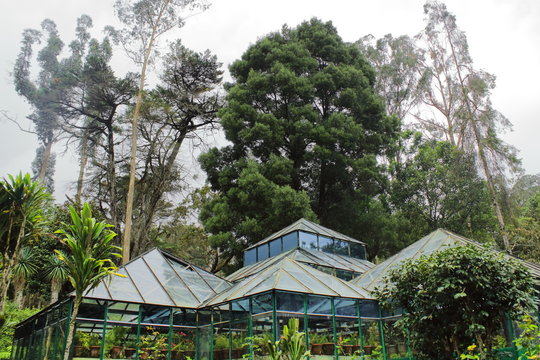 beautiful green house at bryant park, kodaikanal in tamilnadu, india