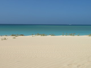 Spaiggia , capo Verde Isola di Boa Vista