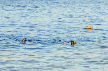 People in masks for snorkeling swim in the pool of a coral reef. Tourist lifestyle, water sports