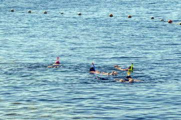 People in masks for snorkeling swim in the pool of a coral reef. Tourist lifestyle, water sports