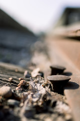 nails on train track