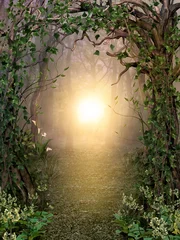 Wall murals Fairy forest Path through enchanting fairytale deep forest view with beautiful heavenly sunset