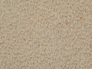 Beach sand pattern on fine and moist sand at low tide