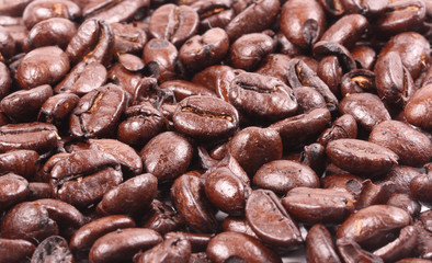 Roasted coffee bean for background