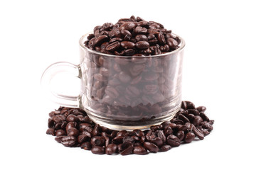 Coffee bean in cup