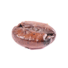 Coffee bean isolated on white