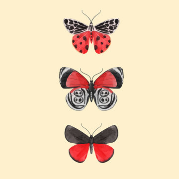 Beautiful vector watercolor three red butterfly set. Colorful summer insects. Hand drawn clip art. Beauty of nature. Transparent background. Isolated objects
