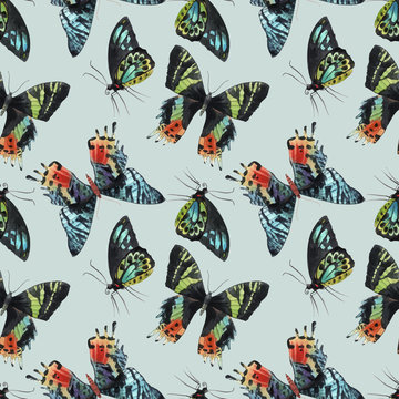Beautiful vector watercolor colorful butterflies seamless pattern. Hand drawn artwork. Ready wallpaper or print. Gentle mint background. Beauty of nature.
