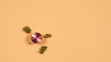 Top view of grinder with fresh marijuana buds on the yellow background, Flat lay.