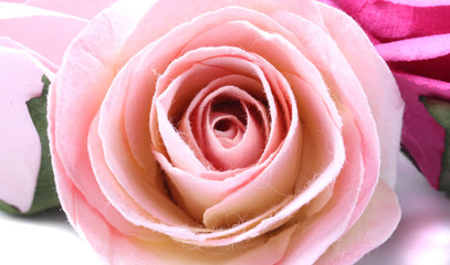 Pink beautiful rose made from paper