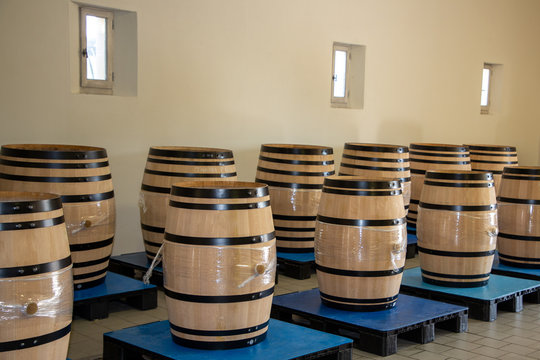 New Oak Empty Barrels In Harvest Bordeaux Wine Cellar