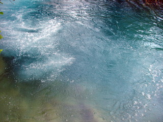 Fototapeta premium Panorama of a clear, transparent surface of a mountain lake, through which water you can see the bottom covered with plants and old trees.