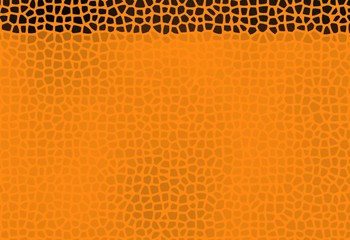 Abstract earthy orange safari design empty blank frame copy space background © sangriana