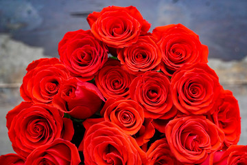 a bouquet of bright red scarlet rose, a lot, colorful background, love passion jealousy, Valentine's Day