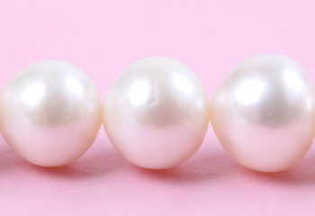 Beautiful creamy pearl necklace on pink background