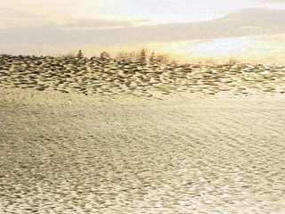 The mixed image of the view of the ice on the surface of the lake and the natural background of the view of the lake shore at the cold spring day at the City Park. 