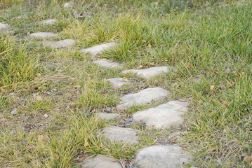 a stone path full of wild grasses in the autumn