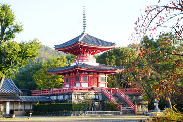 Daikakuji Temple Arashiyama Kyoto,Japan
