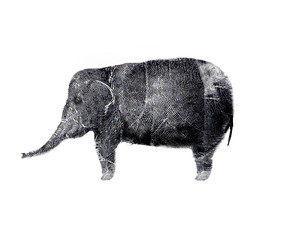 Artwork Using Fingerprints