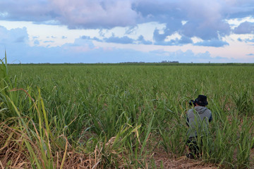 Young photographer hidden in the green grass