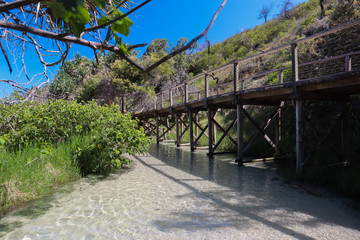 Small wooden bridge along a peaceful creek