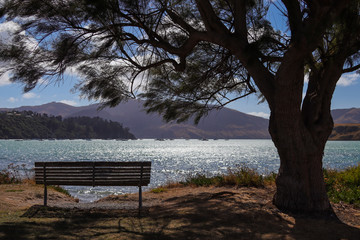 Fototapeta na wymiar Tranquil lake viewed from behind a bench