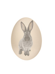 Easter egg with the image of a brown rabbit isolated on a white background.