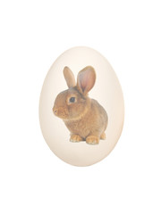 Easter egg with the image of a brown rabbit isolated on a white background.
