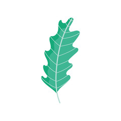 leaf foliage nature icon on white background