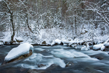 Winter in Tet River, Capcir, Pyrenees, France
