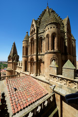 Fototapeta na wymiar Salamanca Cathedral in Spain