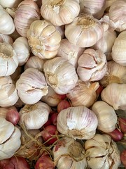 garlic and onions