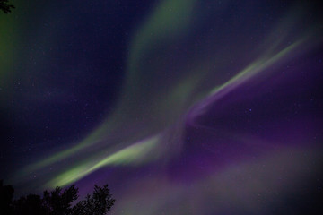 Northern lights in Kiruna, Lapland, Sweden