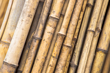 Bamboo fence in garden for bamboo background and texture.