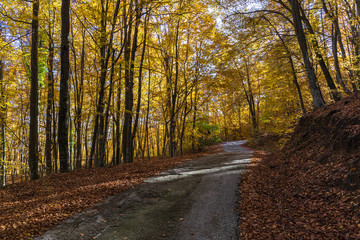 Route through the cliffs of Avenc and Tavertet