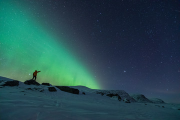 Fototapeta premium Northern lights in Dovrefjell National Park, Norway