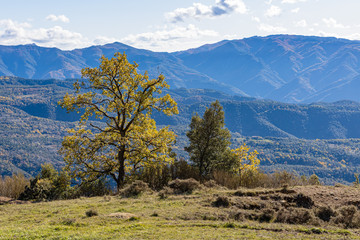 Obraz premium Route through the cliffs of Avenc and Tavertet