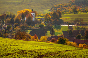 Obraz premium Autumn in Moravia Fields in Czech Republic near Brno with beautifull colors