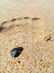 Fußabdruck im Sand