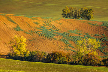 Autumn in Moravia Fields in Czech Republic near Brno with beautifull colors