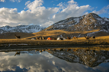 Sunset in Cordillera Real, Andes, Bolivia © Alberto Gonzalez 