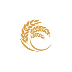 Agriculture wheat Logo Template vector icon