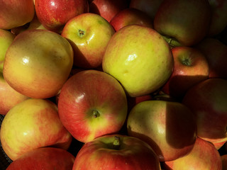 Many apples as background